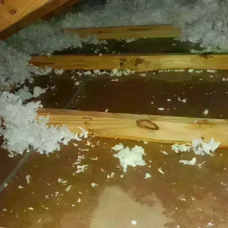 Attic Water Damage in Andover, FL