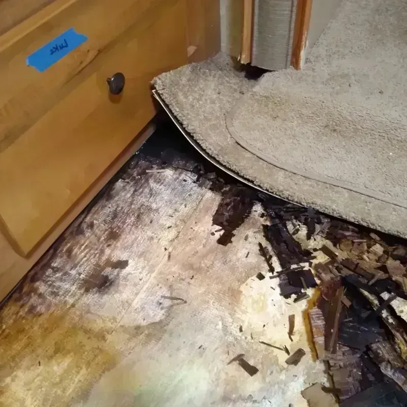 Wood Floor Water Damage in Andover, FL